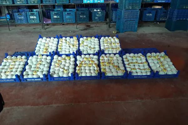 İnce Gıda Tarım Ürünleri - Çiftlik - Bursa Kestel
