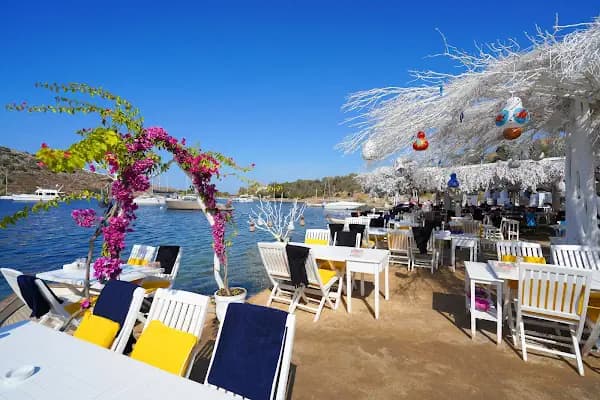 Melengeç Balık Restaurant - Balık Restoranı - Muğla Bodrum