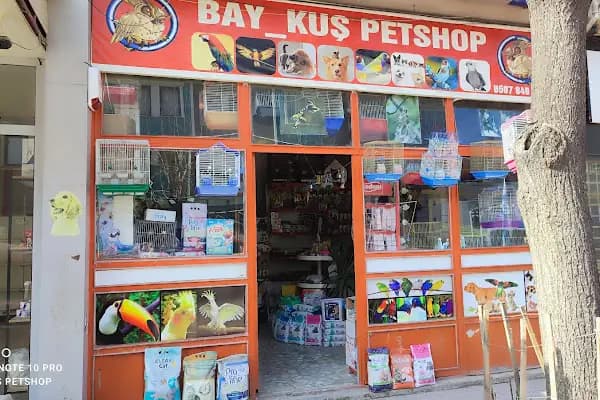 Baykuş petshop - Kümes Hayvanları Marketi - Bursa İznik