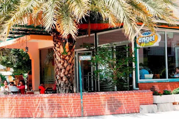 White Angel (Angel Pizza) - Restoran - Antalya Finike