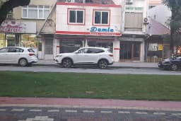 Karaağaç erkek Berberi