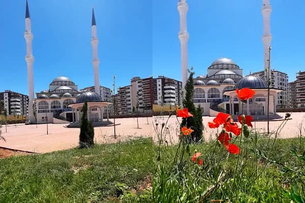 İbni Sina Cami - Cami - Gaziantep Şehitkamil