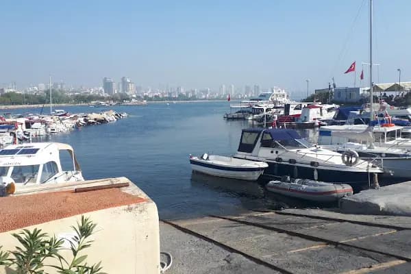 Dragos Limanı - Liman İşletmesi Şirketi - İstanbul Pendik