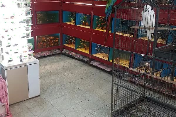 Çağlayan pet shop - Evcil hayvan mağazası - Şanlıurfa Haliliye