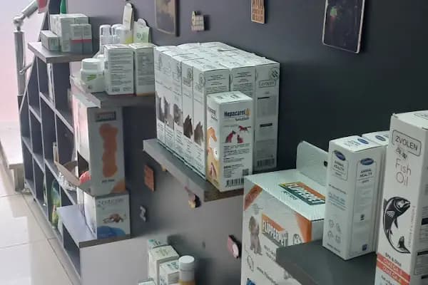 Akdere Veteriner Kliniği - Veteriner - Ankara Mamak