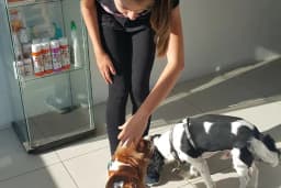 Pruva Veteriner Kliniği