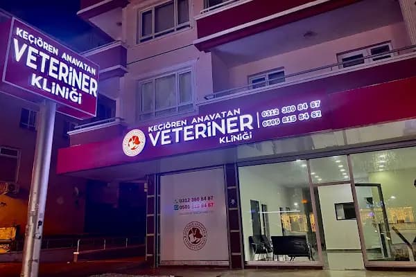 Keçiören Anavatan Veteriner Kliniği - Veteriner - Ankara Keçiören