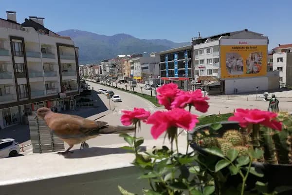 Gürsu - Yerleşim Yeri - Bursa Gemlik