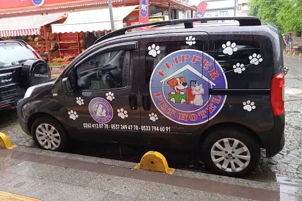 Flipper Pet Hotel - Yatılı Evcil Hayvan Hizmetleri - Kocaeli Derince