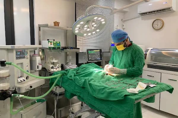 Ateş Veteriner Kliniği - Veteriner - Şanlıurfa Karaköprü