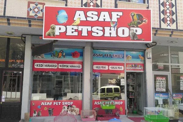 asaf pet shop - Evcil hayvan mağazası - Ankara Etimesgut