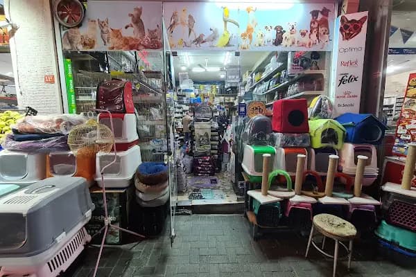 Akdeniz AKVARYUM Petshop - Evcil hayvan mağazası - İstanbul Arnavutköy