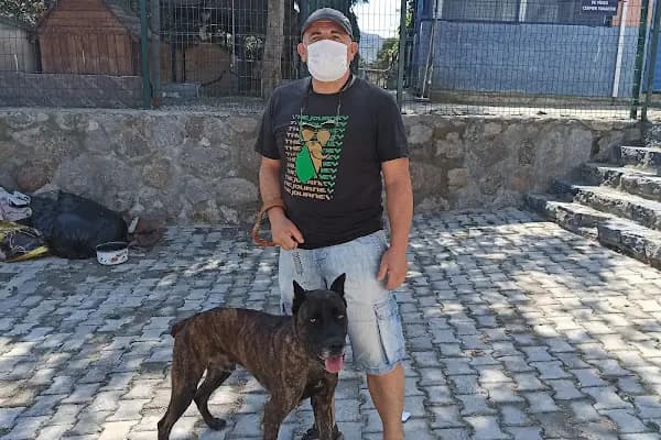 Turgutreis Geçici Bakımevi - Hayvan Barınağı - Muğla Bodrum