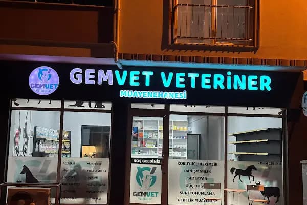 GEMVET VETERİNER - Veteriner - Bursa Gemlik