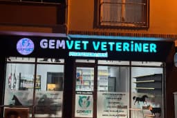 GEMVET VETERİNER