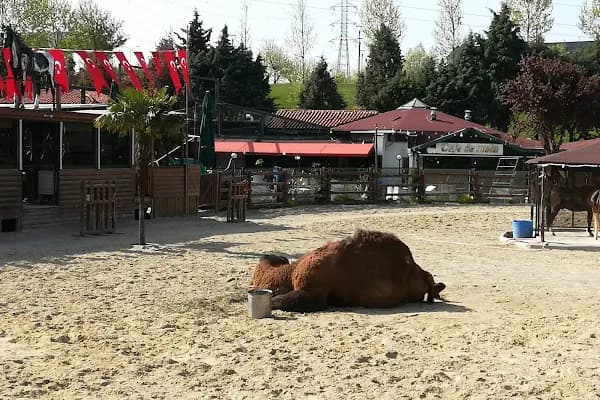 Park Ada - Şehir Parkı - İstanbul Ümraniye