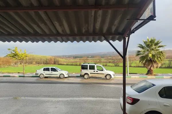 Bozova - Yerleşim Yeri - Şanlıurfa Bozova