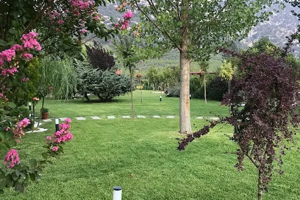 AKSULİVE PEYZAJ - Peyzaj Malzemeleri Satıcısı - Antalya Elmalı