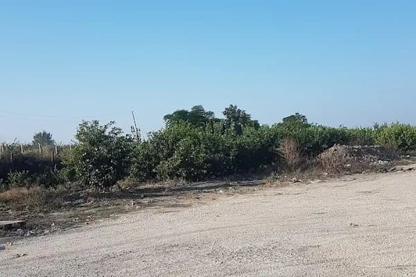 Polen Tarımsal Mücadele - Tarımsal Ekipman Tedarikçisi - Mersin Akdeniz