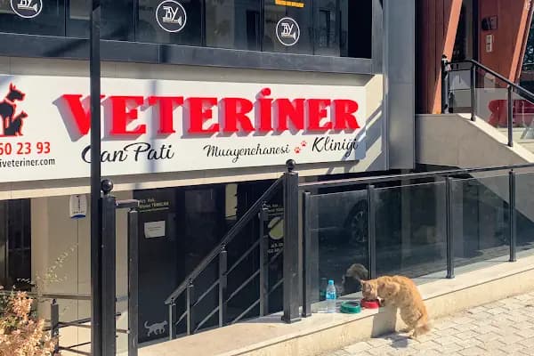 Can Pati Veteriner Kliniği - Veteriner - İstanbul Şişli