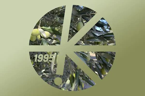 Kozaklı - Zeytinyağı Üreticisi - Balıkesir Burhaniye