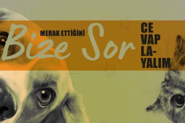 Atlas Veteriner Kliniği - Veteriner - Konya Altınekin