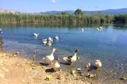 Kuş Cenneti Milli Parkı