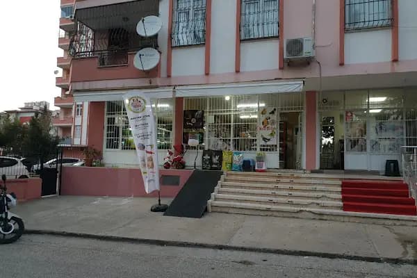 Moon Star Betta Petshop ( MSB PETSHOP ) - Evcil Hayvan Malzemeleri Mağazası - Adana Çukurova