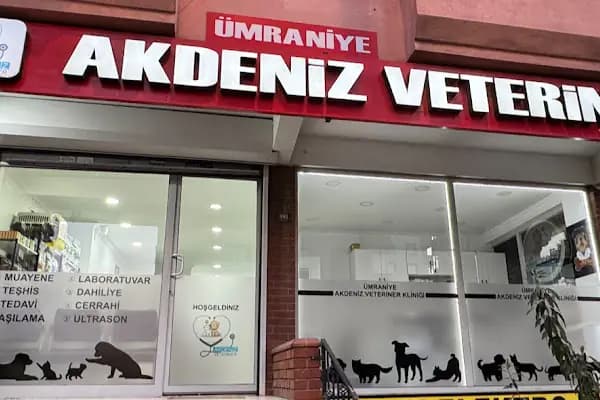 Ümraniye Akdeniz Veteriner Kliniği - Veteriner - İstanbul Beşiktaş