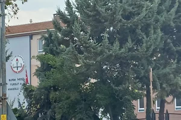 Turgut Alp Anadolu Lisesi - Okul - Bursa İnegöl