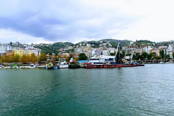 Akçaabat Limanı - Deniz Ürünleri Toptancısı - Trabzon Araklı