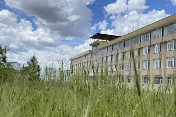 Selehaddin Eyyubi Anadolu İmam Hatip Lisesi (Fen ve Sosyal Bilimler Programlı) - Okul - Diyarbakır Bismil