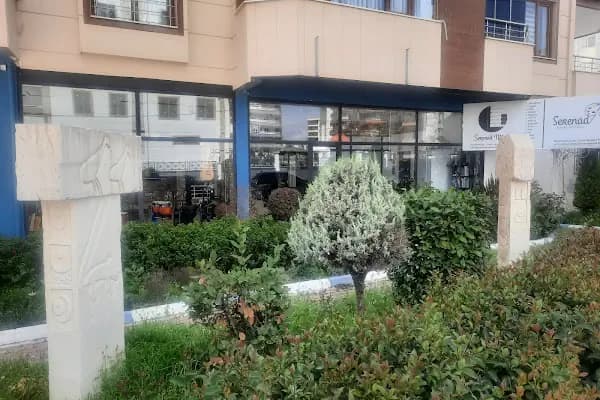 Serenad Müzik Evi - Müzik aletleri mağazası - Şanlıurfa Eyyübiye