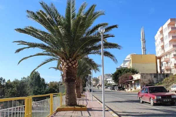 Aydıncık(Mersin) Belediyesi - Belediye Binası - Mersin Akdeniz