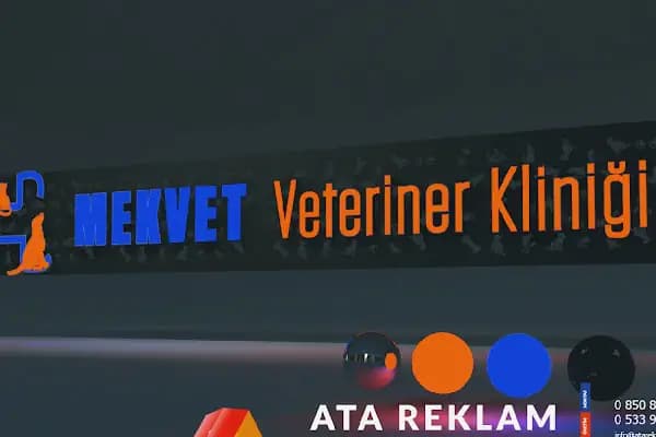 Mekvet veteriner klinigi - Veteriner - İzmir Bornova