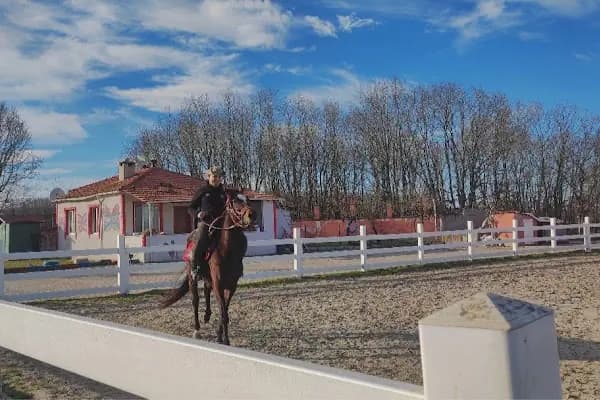 Hanımın çiftliği - At Binme Hizmeti - Tekirdağ Çorlu