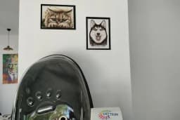 Pisikopati veteriner kliniği