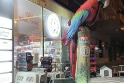 ALİ BABANIN ÇİFTLİĞİ PETSHOP
