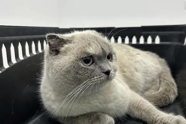 Özel Cinkaya Veteriner Kliniği - Veteriner - Denizli Merkezefendi