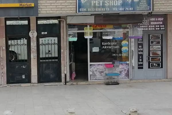 Kardeşler Akvaryum Pet Shop - Evcil hayvan mağazası - Ankara Mamak