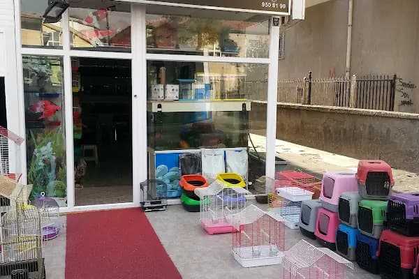 Yalçın Akvaryum &amp; Pet Shop - Evcil hayvan mağazası - Ankara Yenimahalle