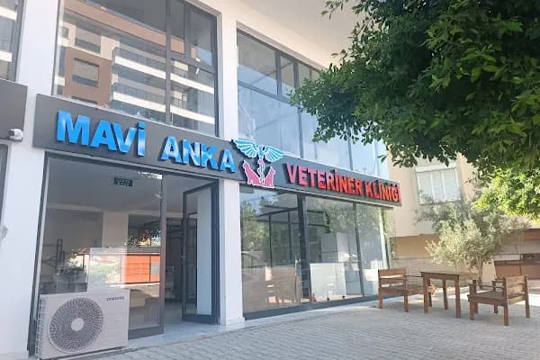 Finike Mavi Anka Veteriner Kliniği - Veteriner - Antalya Alanya