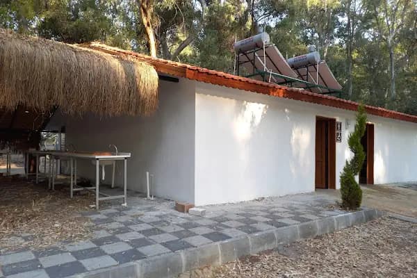 Ada Camping - Kamp Alanı - Aydın Efeler