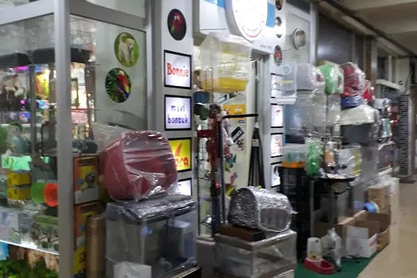Nezih Petshop Evcil Hayvan Malzemeleri - Evcil Hayvan Malzemeleri Mağazası - Sakarya Adapazarı
