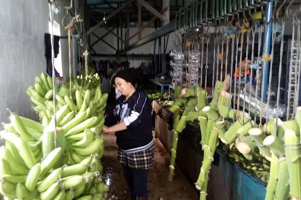 Antaş Muz Sarartma Paketleme Tesisi - Mağaza - Mersin Akdeniz