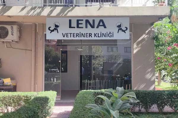 Lena Veteriner Kliniği - Veteriner - İzmir Bayraklı