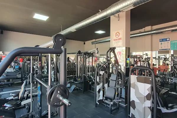 Coach Sönmez Sport Club - Fiziksel Fitness Programı - Bursa Mudanya