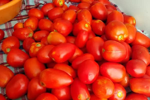 Merve Market - Bakkal - Adana Aladağ