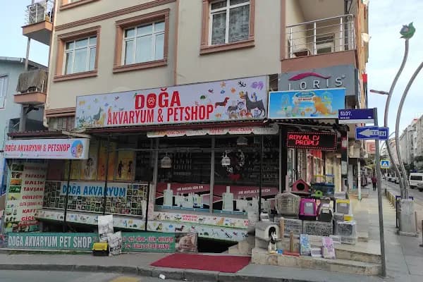 PET KUAFÖR çayırova Doğa Akvaryum petshop - Evcil Hayvan Kuaförü - Kocaeli Gölcük