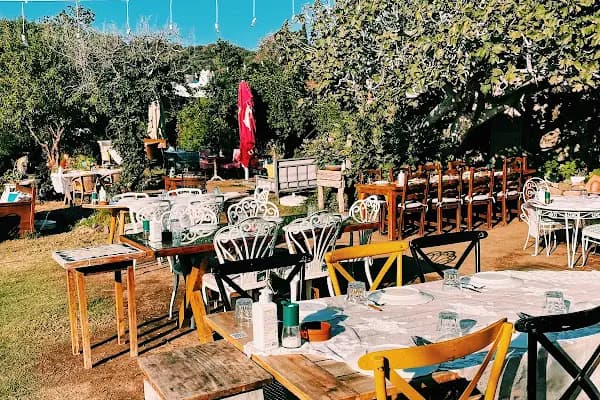 LİMON GÜMÜŞLÜK RESTAURANT - Restoran - Muğla Bodrum